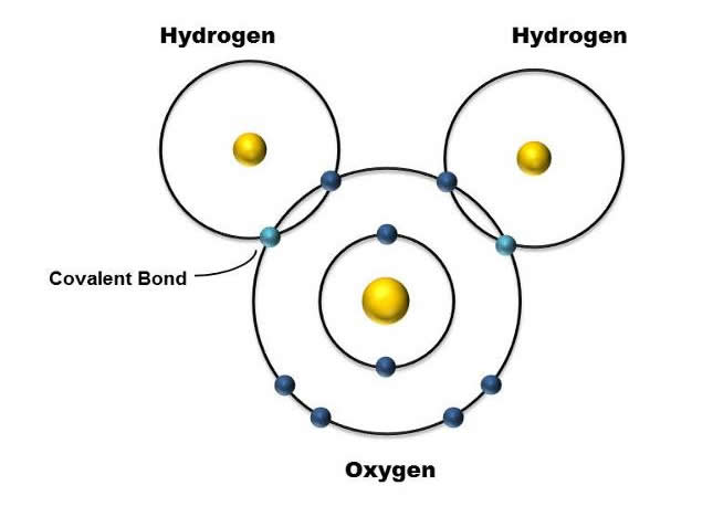 Promenading With Atoms Chemical Bond Producing And Interruption Recorded In Action